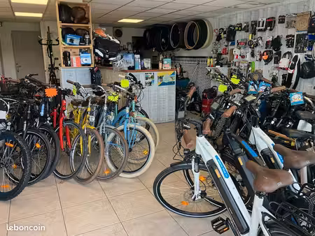 magasin vélos