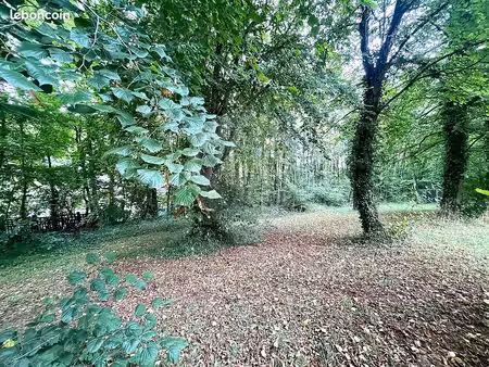 terrain 4 240 m² longuyon