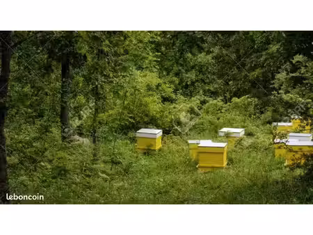 terrain agricole  foret  pour ruches
