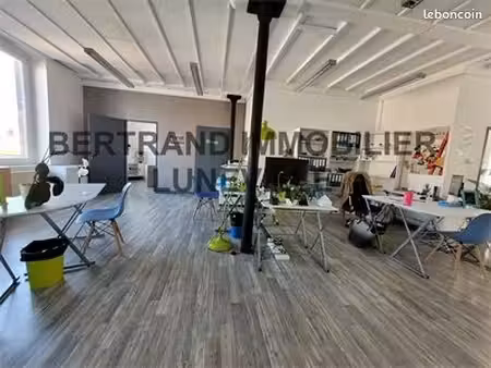immeuble 136 m² luneville