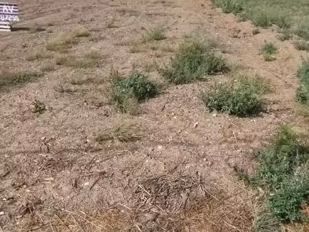 terrain 614 m2