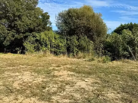 vente d’un terrain constructible viabilisé de 555m2