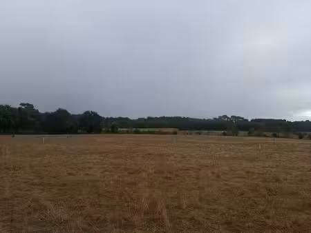 recherche terrain agricole