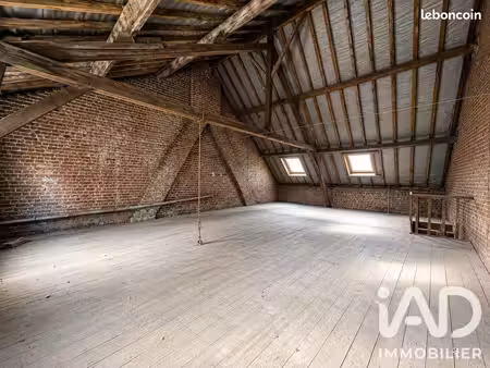 immeuble 250 m² somain
