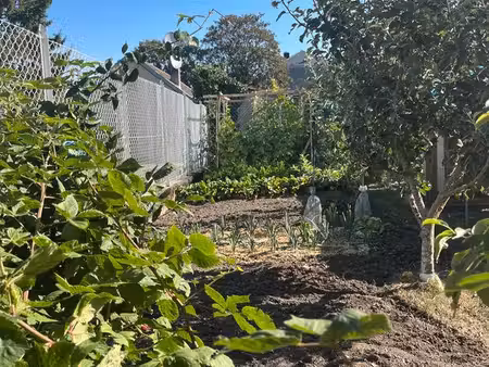 recherche terrain pour jardin