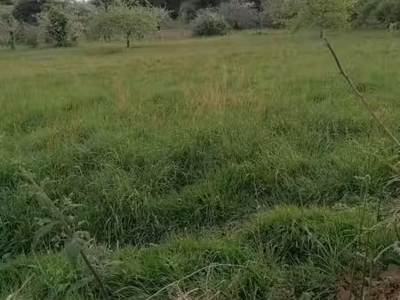 terrain 360 m² kervignac