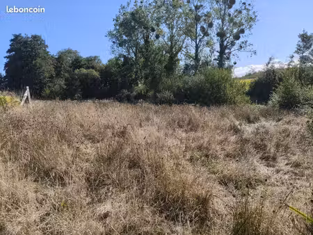 terrain agricole