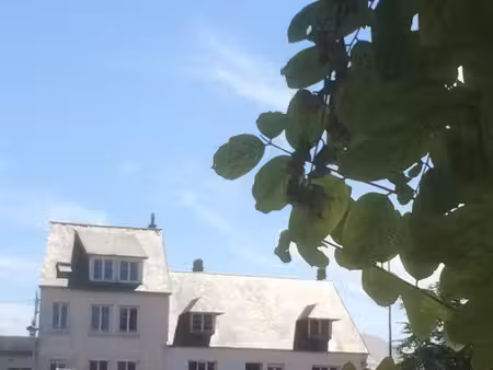 à vendre appartement coutainville