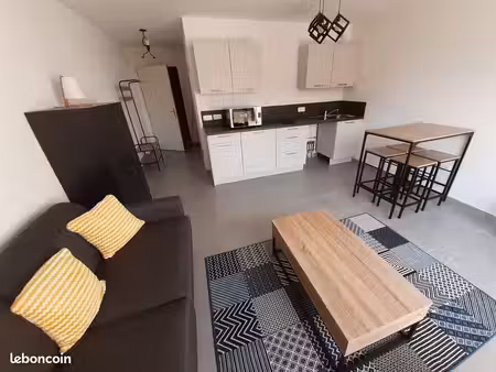 nancy rive de meurthe t1 27m² neuf meublé avec terrasse et jardin privatif - proche kinépo