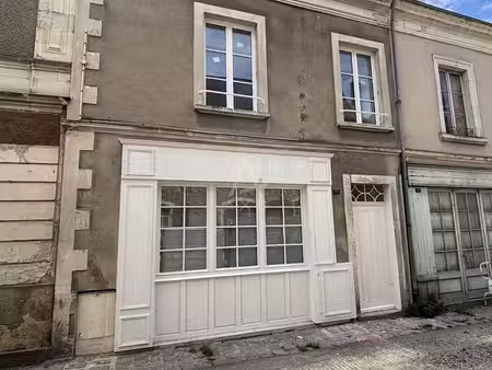 immeuble 159 m² saint denis d'anjou
