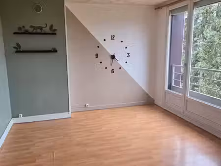 appartement f3 résidence canadienne longuyon (54)