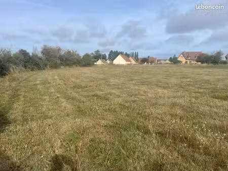 ? terrain de 5 000 m² à vendre – lalande-en-son