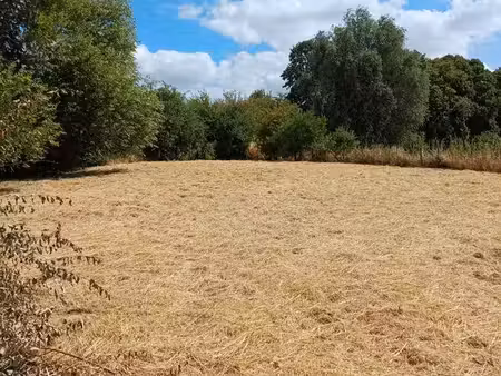 terrain a bâtir