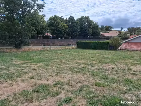 terrain constructible