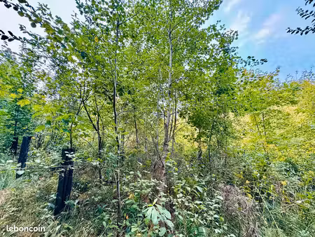 terrain boisé fournols
