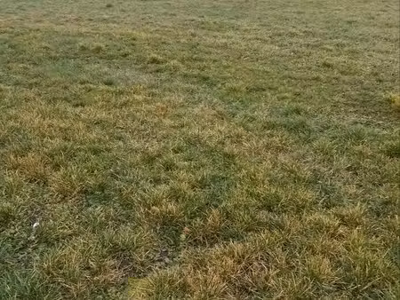 terrain à bâtir