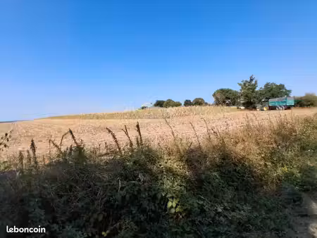 terrain agricole