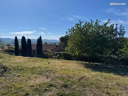 terrain constructible