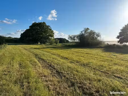terrain coutiches -3735m2