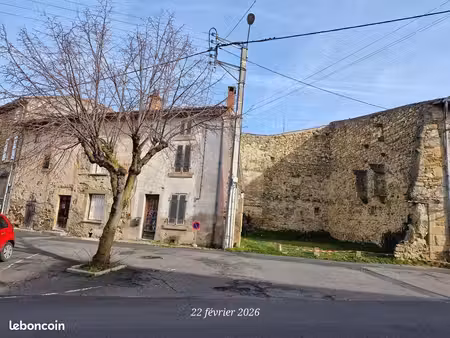 maisons avec un jardin - billom ( 63160)