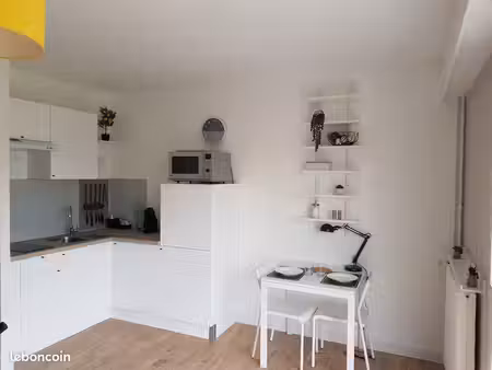 studio meublé 31m2 secteur château