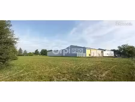 local d'activité 2 600 m²