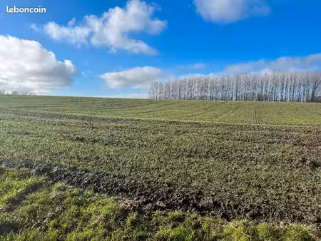 terrain 1 300 m² divion