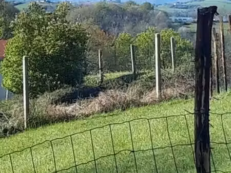 terrain a vendre
