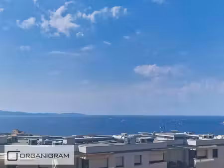 ajaccio - entree de ville - t2 47.25 m²