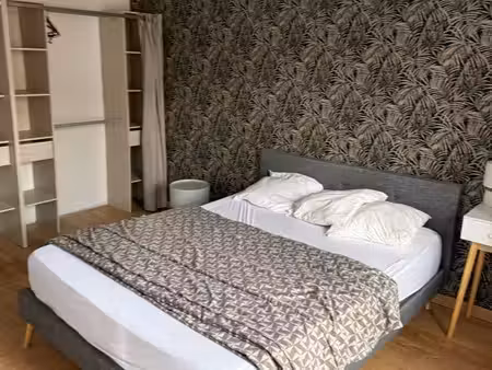 appartement meublée centre monton