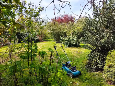 terrain arboré pour jardinage et loisirs