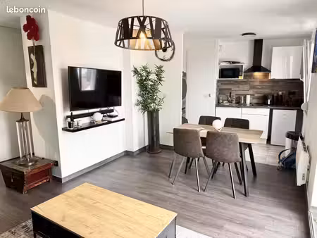 studio 1 pièce 31 m²