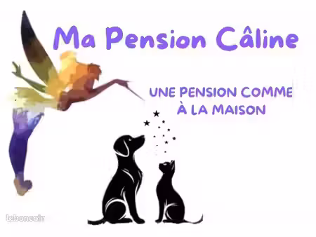 petite maison avec terrain pour projet professionnel (secteur les albères)