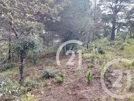 terrain 10 300 m² llauro