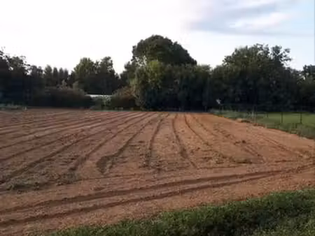 terrain de loisir