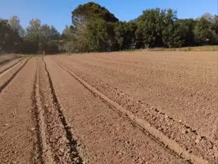 terrain de loisir