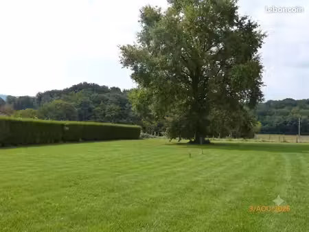 terrain constructible