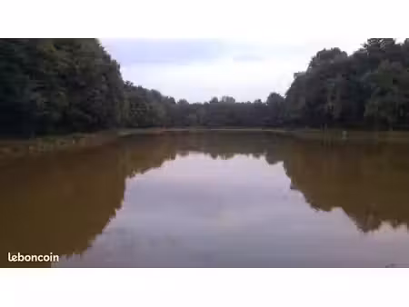 etang 1 4ha
