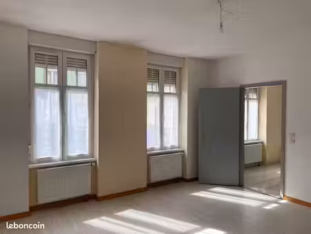 location appartement centre-ville haguenau