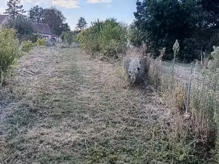 terrain constructible