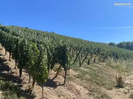 projet de construction d'une maison 79 m² avec terrain à turckheim (68)
