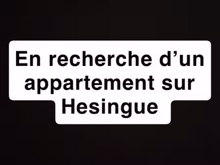 recherche appartement hesingue