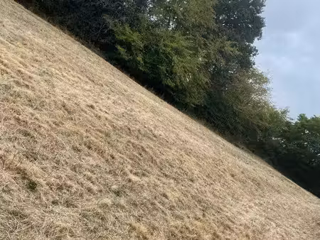 terrain