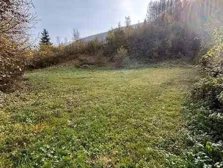 terrain agricole