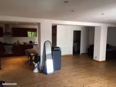 grand appartement centre ville