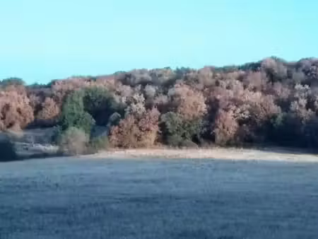 recherche terrain ou grange à rénover