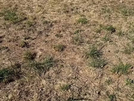 terrain 1 400 m² boissay
