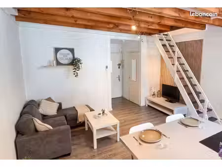 chambéry centre historique – grand duplex t2 climatisé - particulier  sans frais d'agence