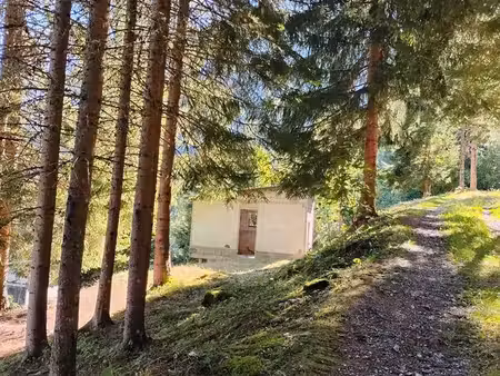 petite structure en pleine nature
