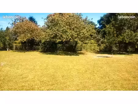 terrain 1 200 m² vergetot